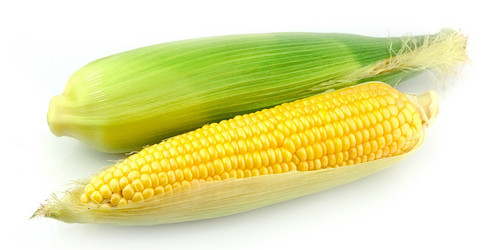 Similar image 754213