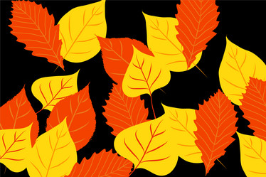 Similar image 754242