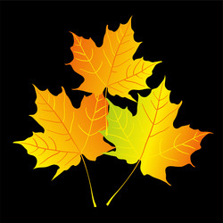 Similar image 754244