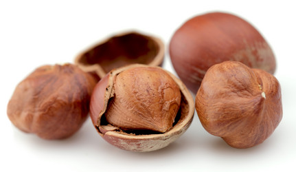 Similar image 754259