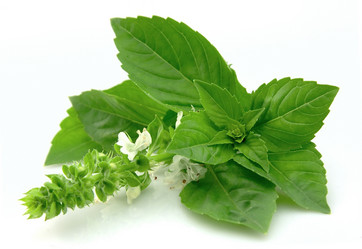 Similar image 754291