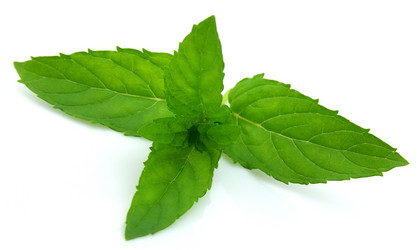 Similar image 754293