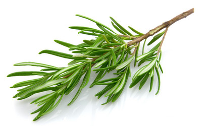 Similar image 754298