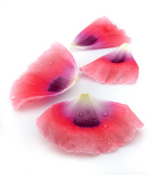 Similar image 754321