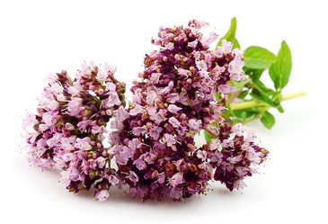 Similar image 754360