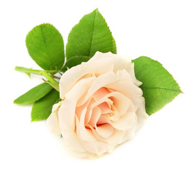 Similar image 754361