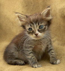 Similar image 754369