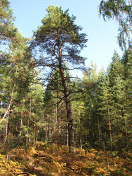 Similar image 754423