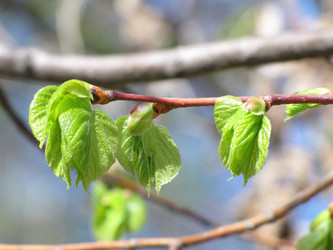 Similar image 754424