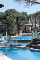 Similar image 754480