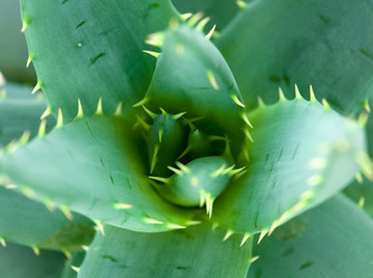 Similar image 754491