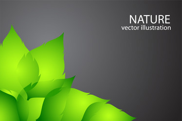 Similar image 754571