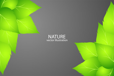 Similar image 754572