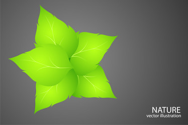 Similar image 754573