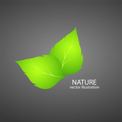 Similar image 754574