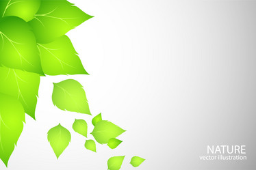 Similar image 754575