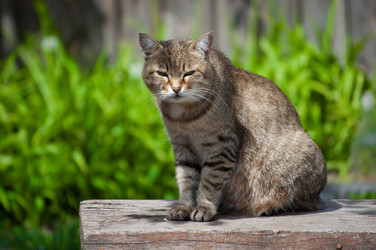 Similar image 754861