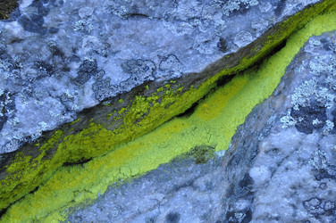 Similar image 754878