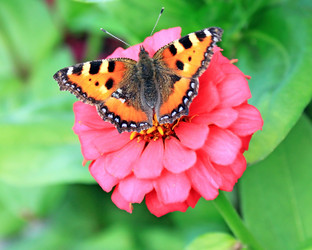 Similar image 754914