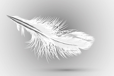 Similar image 755088