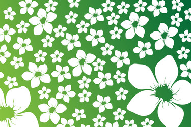 Similar image 755100