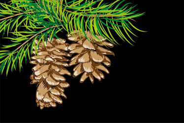 Similar image 755108