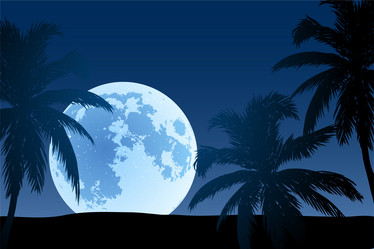 Similar image 755230