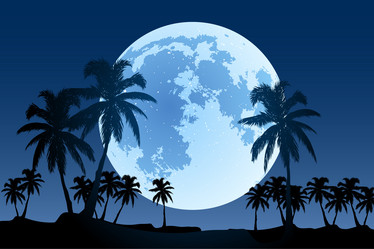 Similar image 755231