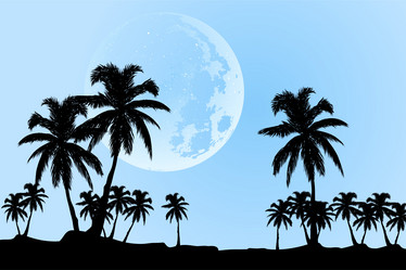 Similar image 755232