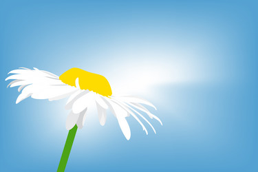 Similar image 755315