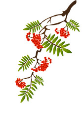 Similar image 755337