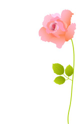 Similar image 755374