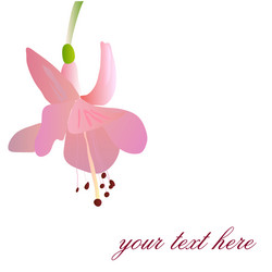 Similar image 755378