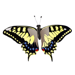 Similar image 755415