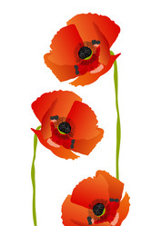 Similar image 755450