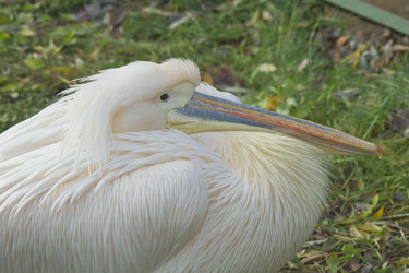 Similar image 755547