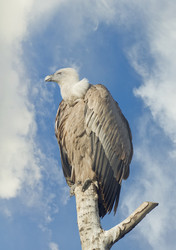 Similar image 755548