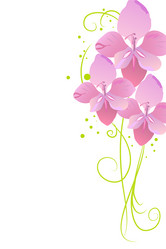 Similar image 755590