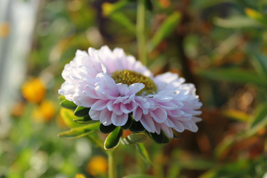 Similar image 755737