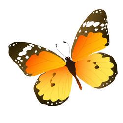 Similar image 755816