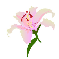 Similar image 755832