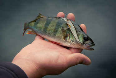 Similar image 755835