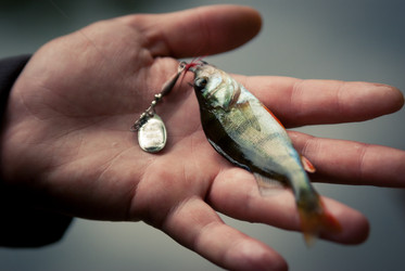 Similar image 755837