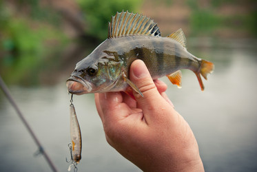 Similar image 755842