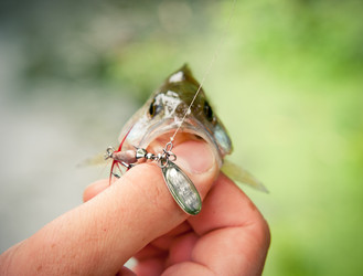 Similar image 755844