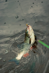 Similar image 755850