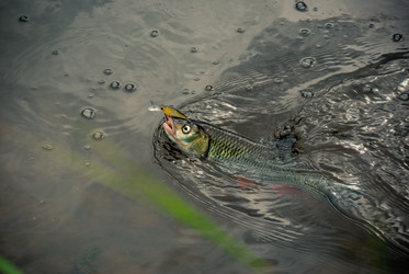 Similar image 755851