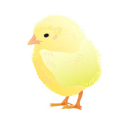 Similar image 755856