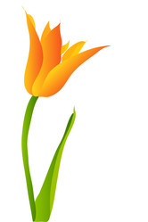 Similar image 755866