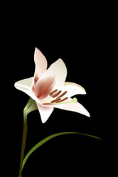 Similar image 755867